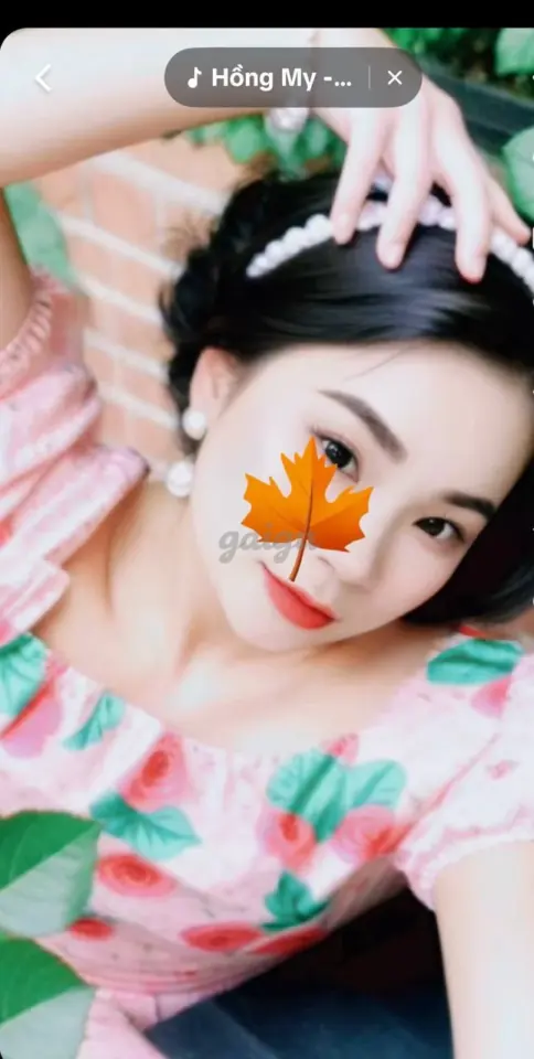 Hoa Hồng Vú To Gơi… 20万 胡志明市